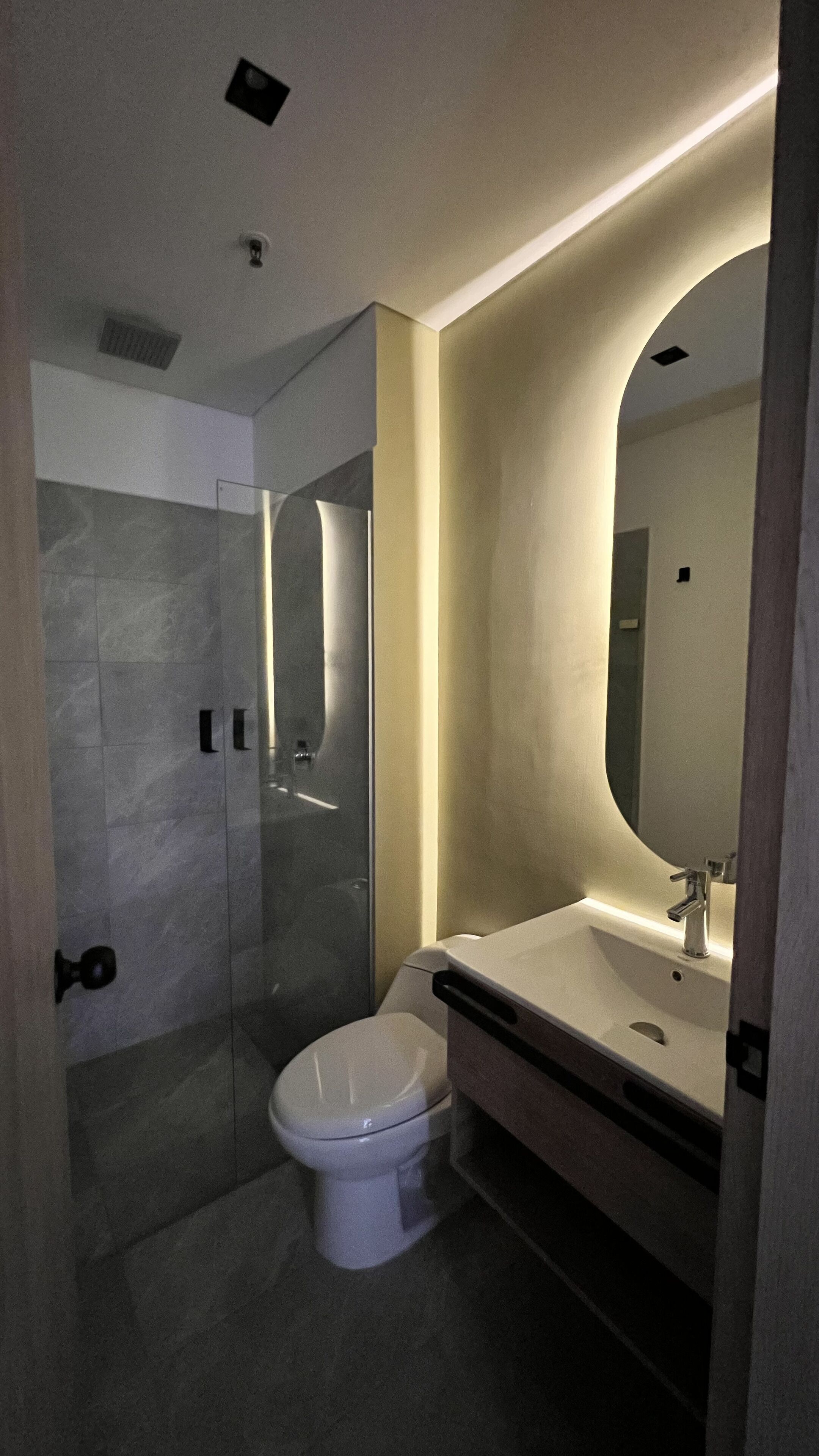 A modern bathroom with a glass shower enclosure, a white toilet, and a vanity with a large mirror.
