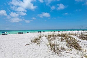 Beach - Washed Ashore (Miramar Beach)