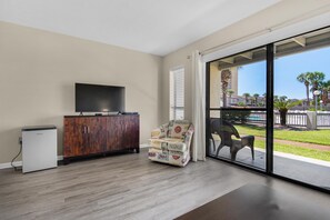 公寓客房, 1 張加大雙人床和 1 張沙發床 (Endless Summer E2) | 起居區 | 電視