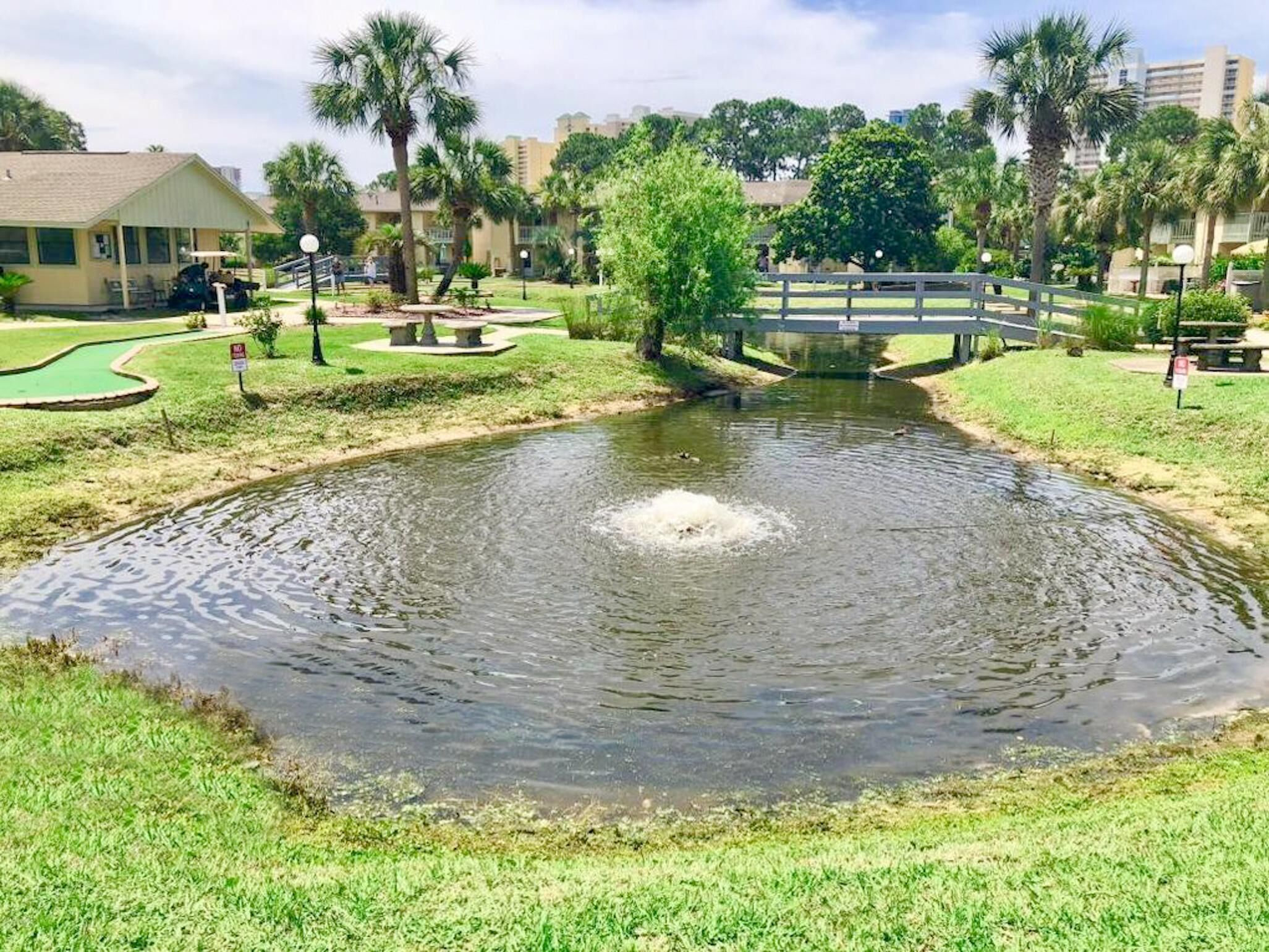 A small pond with a bridge, surrounded by grass and palm trees.