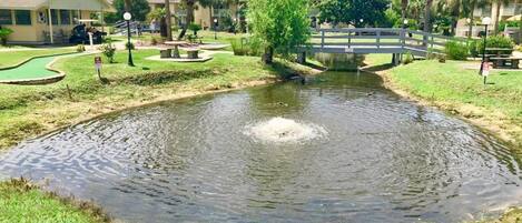 A small pond with a bridge, surrounded by grass and palm trees.