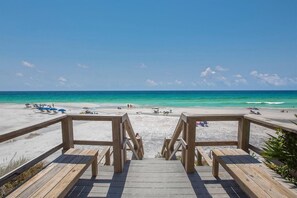 Beach - Legacy 502 - Abalone (Santa Rosa Beach)
