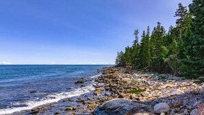 A rocky shoreline with a forested area and a view of the ocean. - Chimerique on the Water in Maine (Saint George)