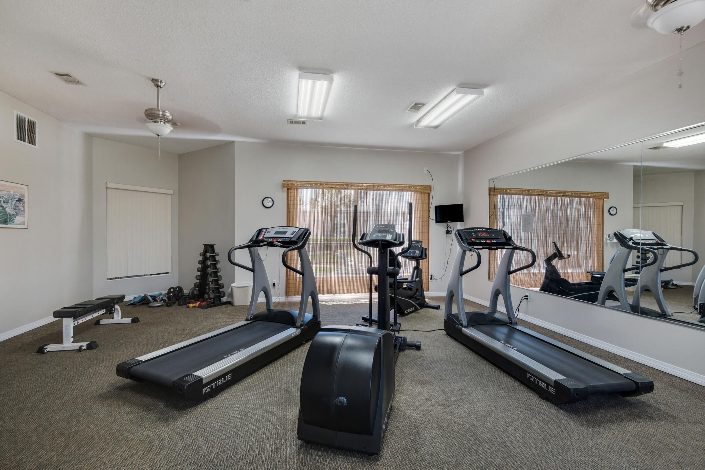 A home gym with treadmills, a bench, and a weight rack.