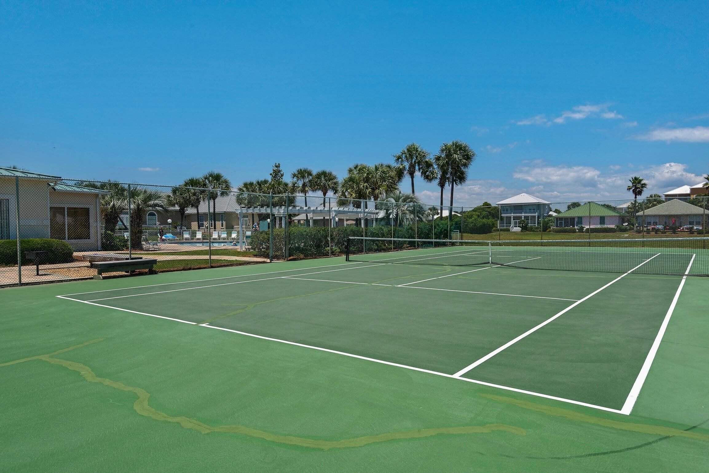 Een tennisbaan met een net, omringd door een hek, en palmbomen op de achtergrond.