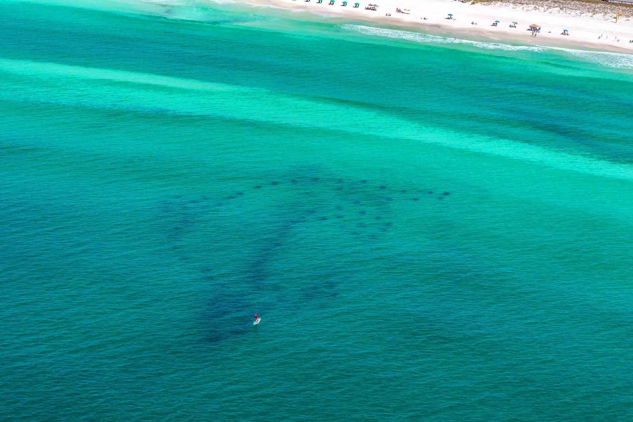 En vy över en strand sedd från luften, med kristallklart turkosfärgat vatten och en sandstrand.