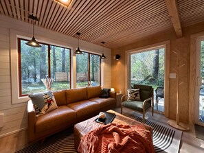 TV connectée, cheminée, livres, médiathèque