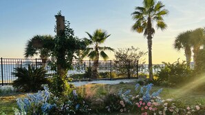 Ein Garten mit Palmen, einem Zaun und einem Wasserlauf.