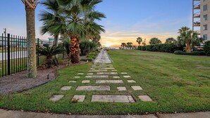 A pathway lined with palm trees leading to a building with multiple balconies.