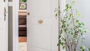 A white door with a brass handle, a small plant beside it, and a colorful abstract painting in the background. - Beatiful design 1 bed apt D (Sevilla)