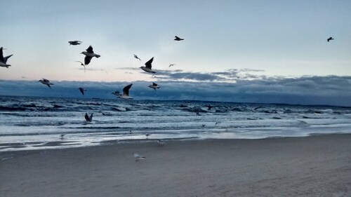 Apartment 'Gute Stube' with Lake View, Shared Garden and Wi-Fi