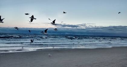 Apartment 'Gute Stube' with Lake View, Shared Garden and Wi-Fi