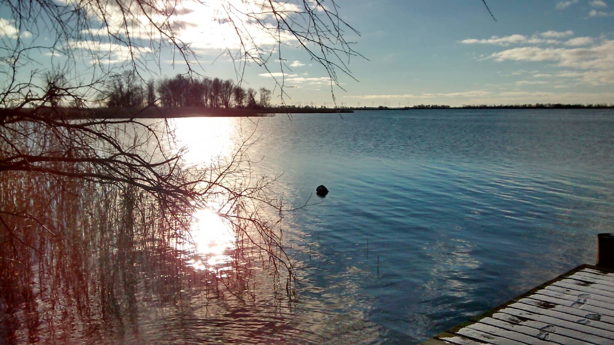 Een rustig meer met een houten steiger die het water in reikt, omringd door bomen en een heldere lucht.
