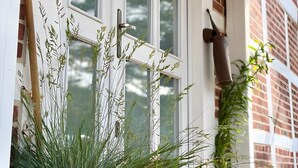 A white door with a window, a potted plant with tall grass, and a brick wall. - Holiday Home 'Elbparadies' with Private Terrace and Wi-Fi (Stade)