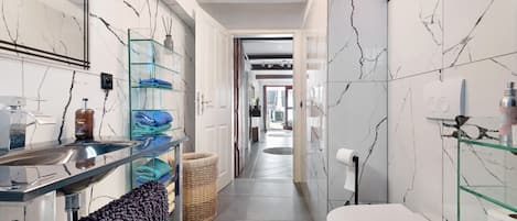 Shower, hair dryer, towels