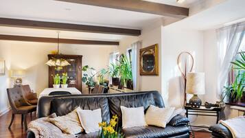 Télévision, cheminée, chaßne hi-fi