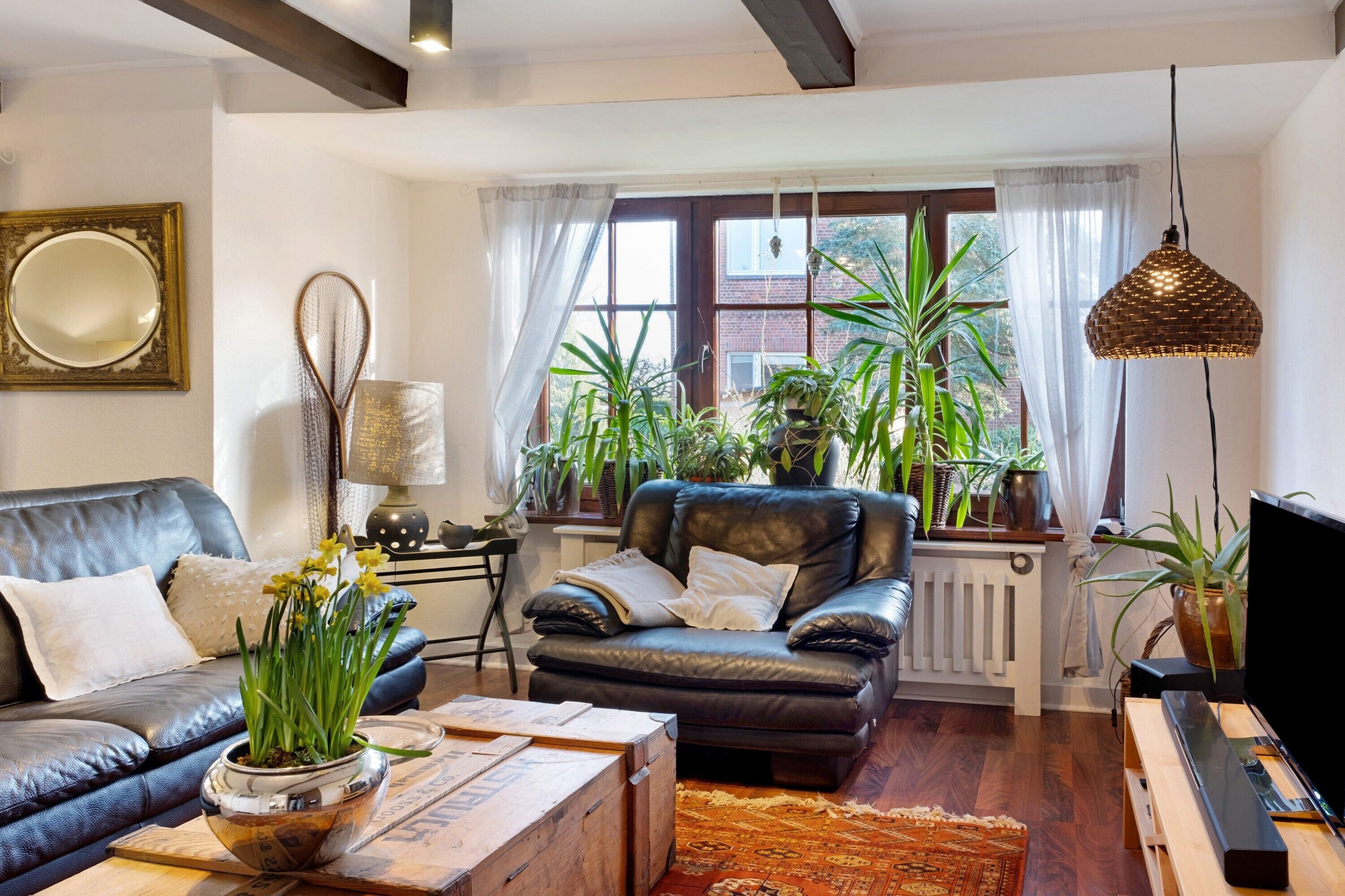 Télévision, cheminée, chaîne hi-fi