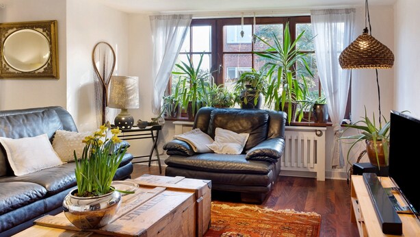 A living room with a leather sofa, a coffee table, a TV stand, and a window with plants. - Holiday Home 'Elbparadies' with Private Terrace and Wi-Fi (Stade)