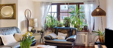 Télévision, cheminée, chaßne hi-fi