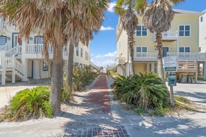 A coastal street lined with palm trees and beachfront buildings.