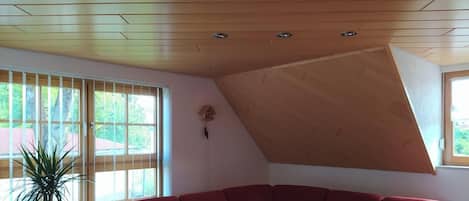 Televisión y chimenea