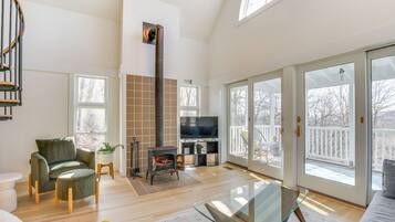 TV, fireplace, books