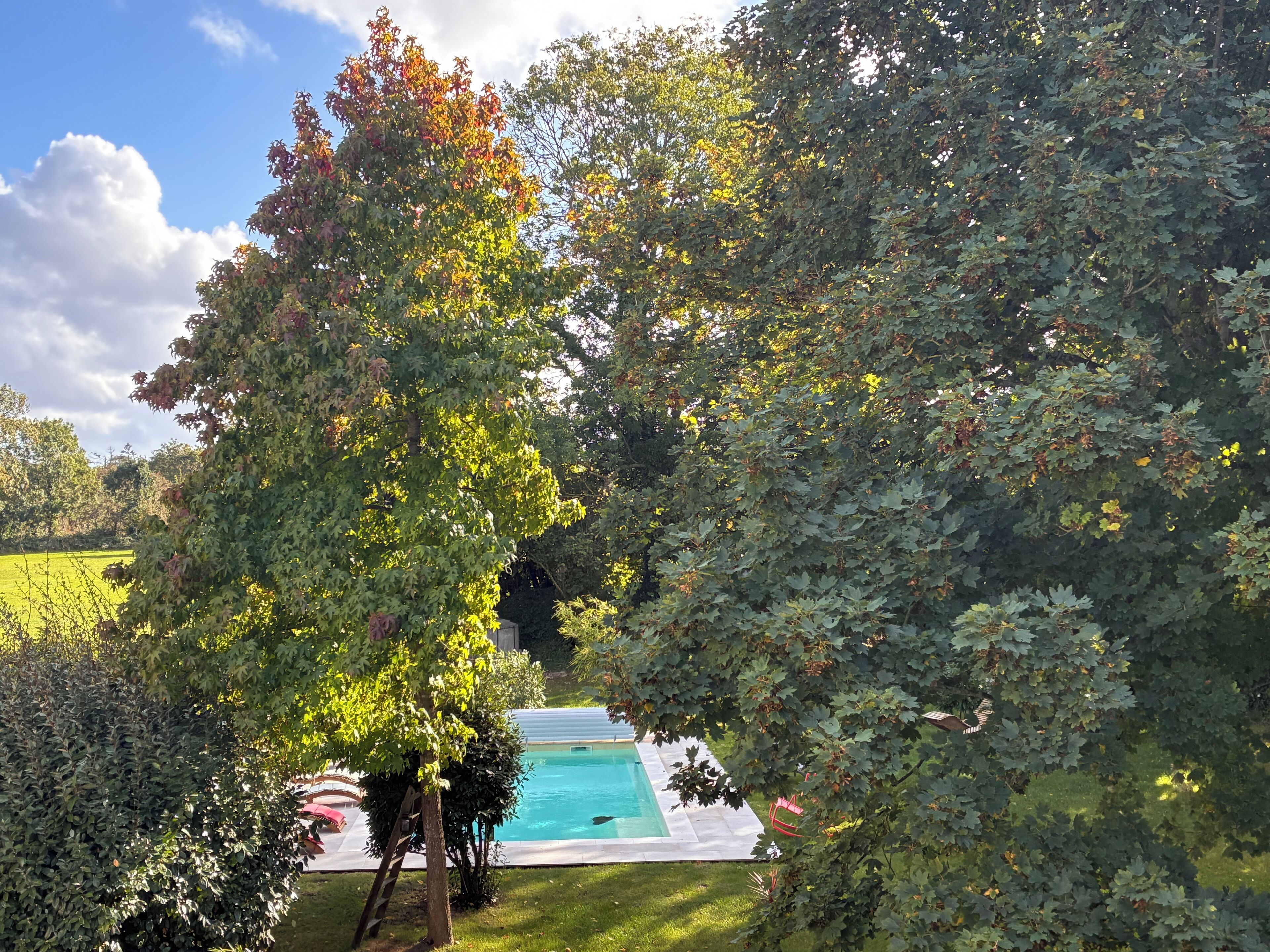 Family Room, 1 King Bed with Sofa bed, Terrace, Pool View (Omaha Beach) | Hageutsikt