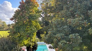 A swimming pool surrounded by lush greenery and trees. - LA VILLA MIRABELLE (Tracy-sur-Mer)
