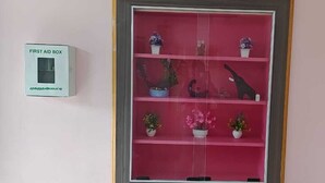 Une trousse de premiers secours fixée au mur, une étagère rose avec des plantes en pot et un lavabo.