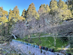 露台/庭院