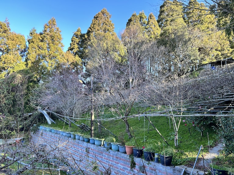 拉拉山和風山莊評價、特色體驗、房價資訊、訂房連結 – 溫馨山林渡假民宿 - 照片 19