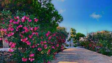Jardines del alojamiento