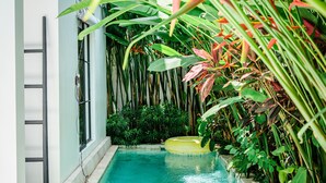 A narrow indoor swimming pool with clear water, surrounded by lush tropical plants and a white building with a ladder on the left. - Mare Villa by Betterplace (Canggu)