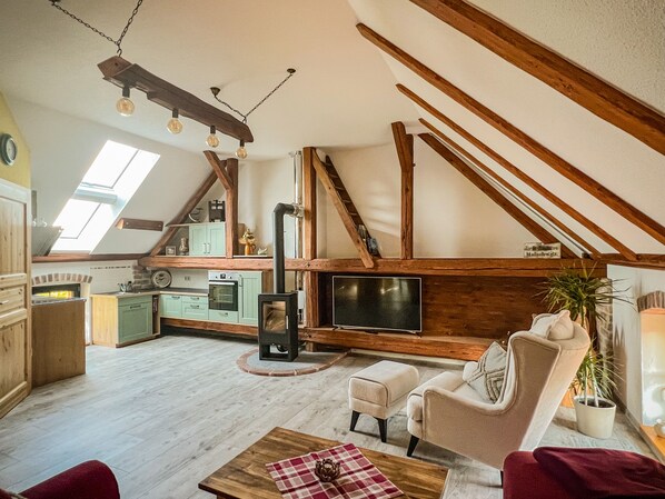 TV connectée, cheminée, livres