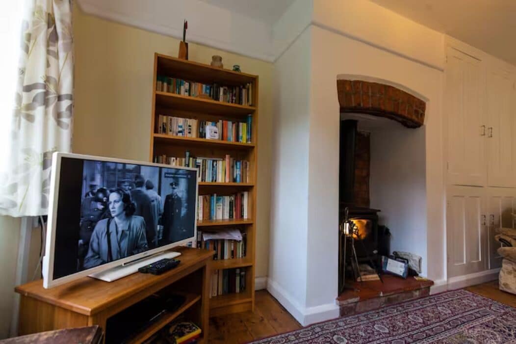 A living room with a television, bookshelves, a fireplace, and a patterned rug.