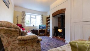 A cozy living room with a fireplace, a television, and a bookshelf. - Oak House (Machynlleth)