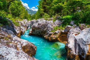 Un lit de rivière rocheux aux eaux turquoise et limpides, bordé d’une végétation luxuriante et d’arbres.
