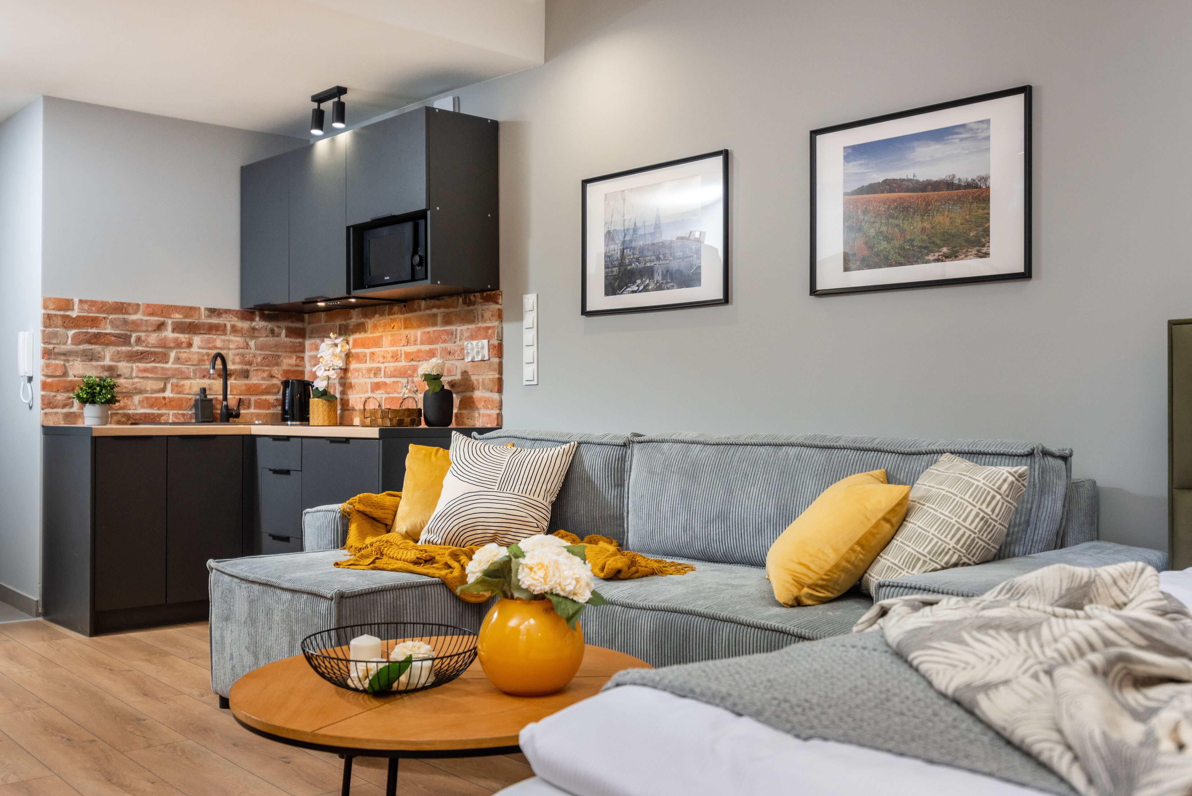 A modern living space with a kitchen, grey sofa, and two framed pictures on the wall.
