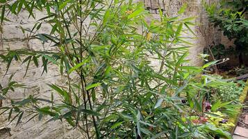 DĂ©tail de lâextĂ©rieur