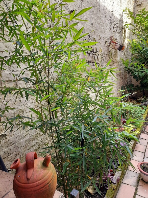 Exterior detail - Au Jardin Mini (Tourcoing)