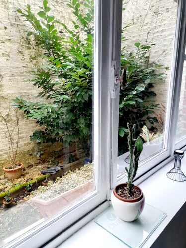 Appartement 2+1Au Jardin mini