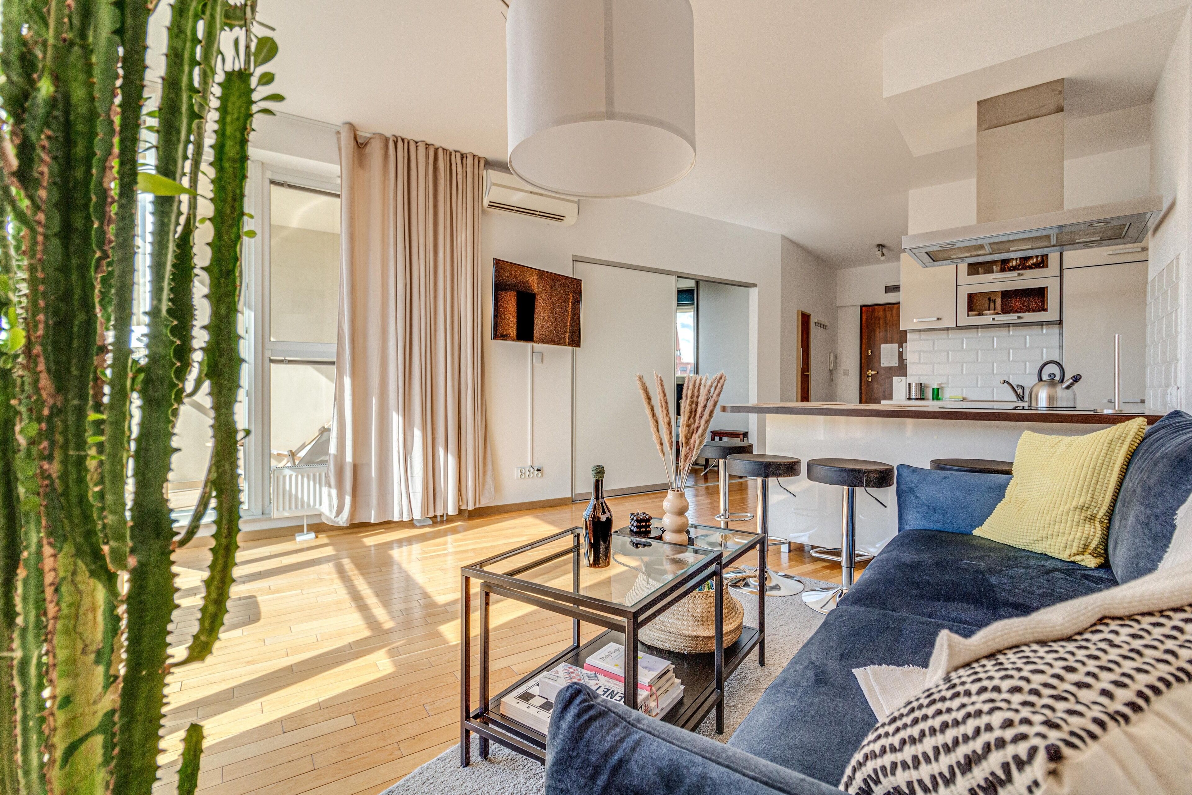 Deluxe Apartment | Living room | 37-inch flat-screen TV with digital channels