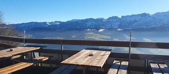 게르트루트 슐레슬리