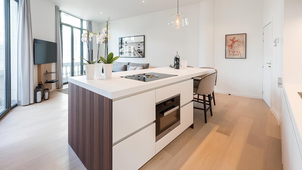 Luxury Suite | Private kitchen | Espresso maker, full-size fridge, oven, stovetop - Downtown Brussels Splendor Suites (Brussels)