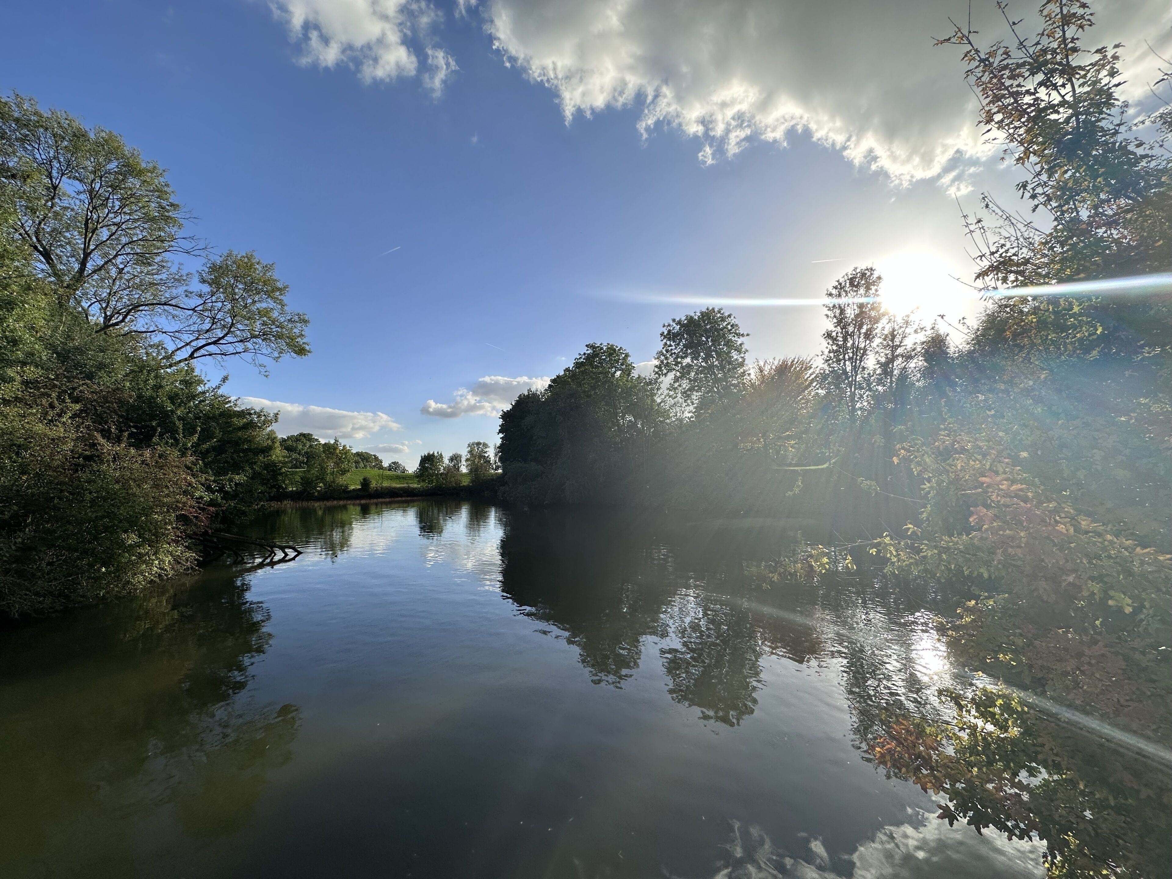 Ein ruhiger Fluss spiegelt Bäume und einen klaren Himmel.