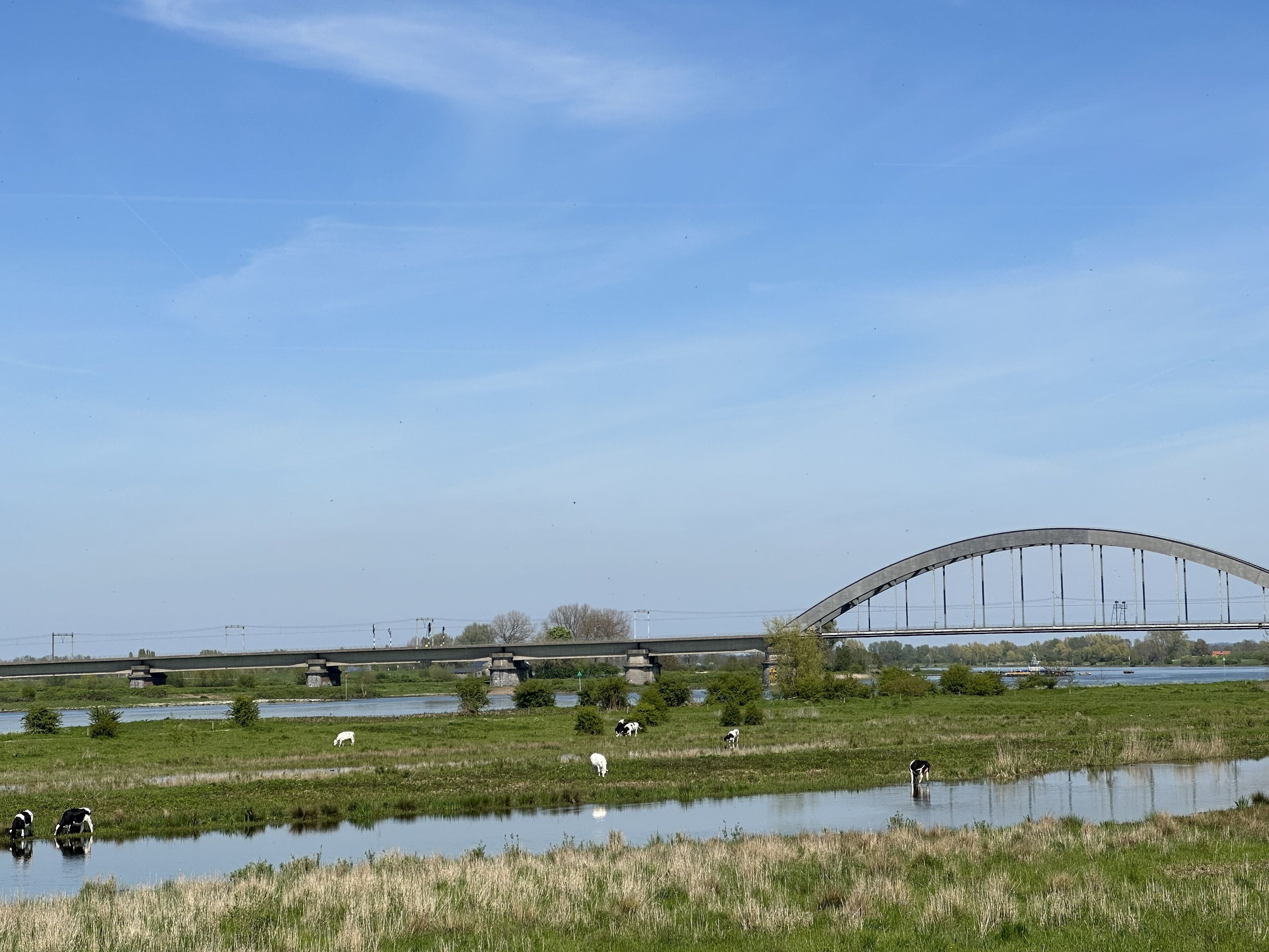 Un paisaje rural con un puente, un río y animales pastando.