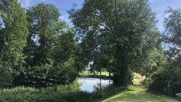 Um parque tranquilo com um lago, cercado por vegetação exuberante e árvores.