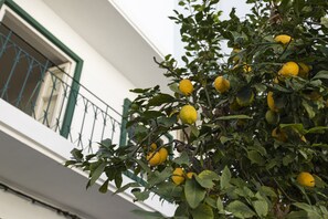 Exterior - Lemon Hostel Faro (Faro)