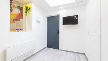 Studio Suite Basic | Televisi