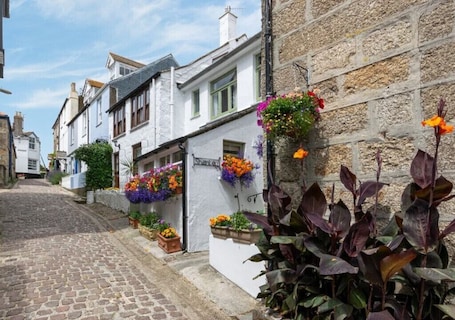 Exterior. Cosy cottage on pretty cobbled lane by the harbour